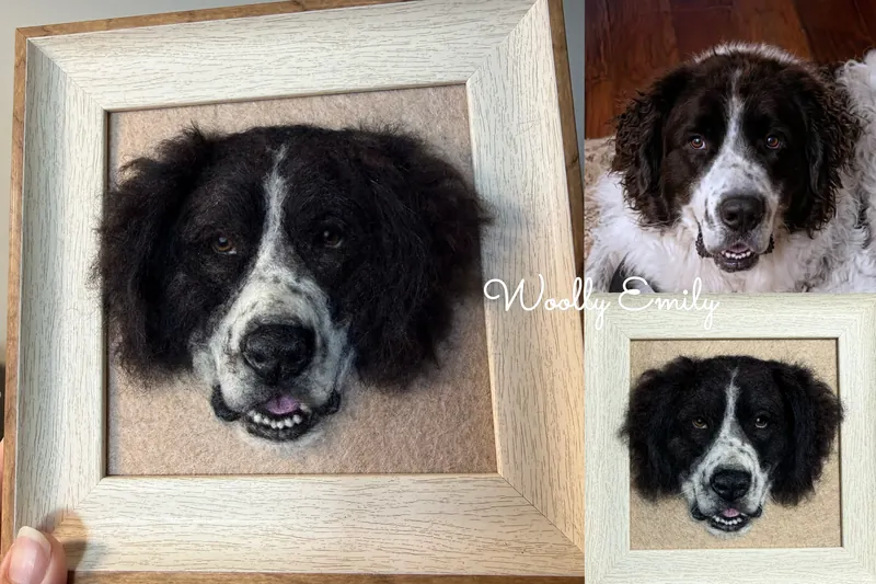 Needle felted black and white springer spaniel portrait in a light wood frame with the reference photo