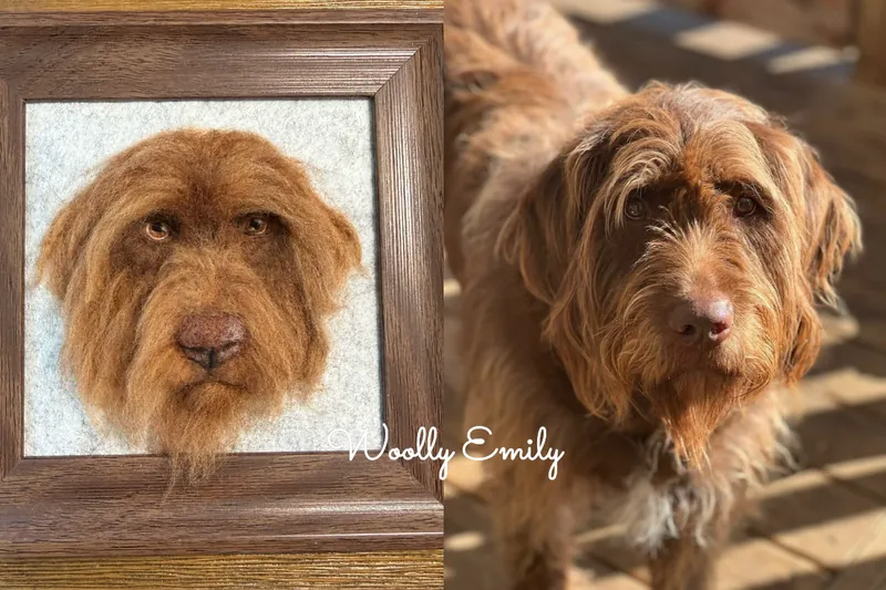 Four framed needle felted pet portraits laid out together